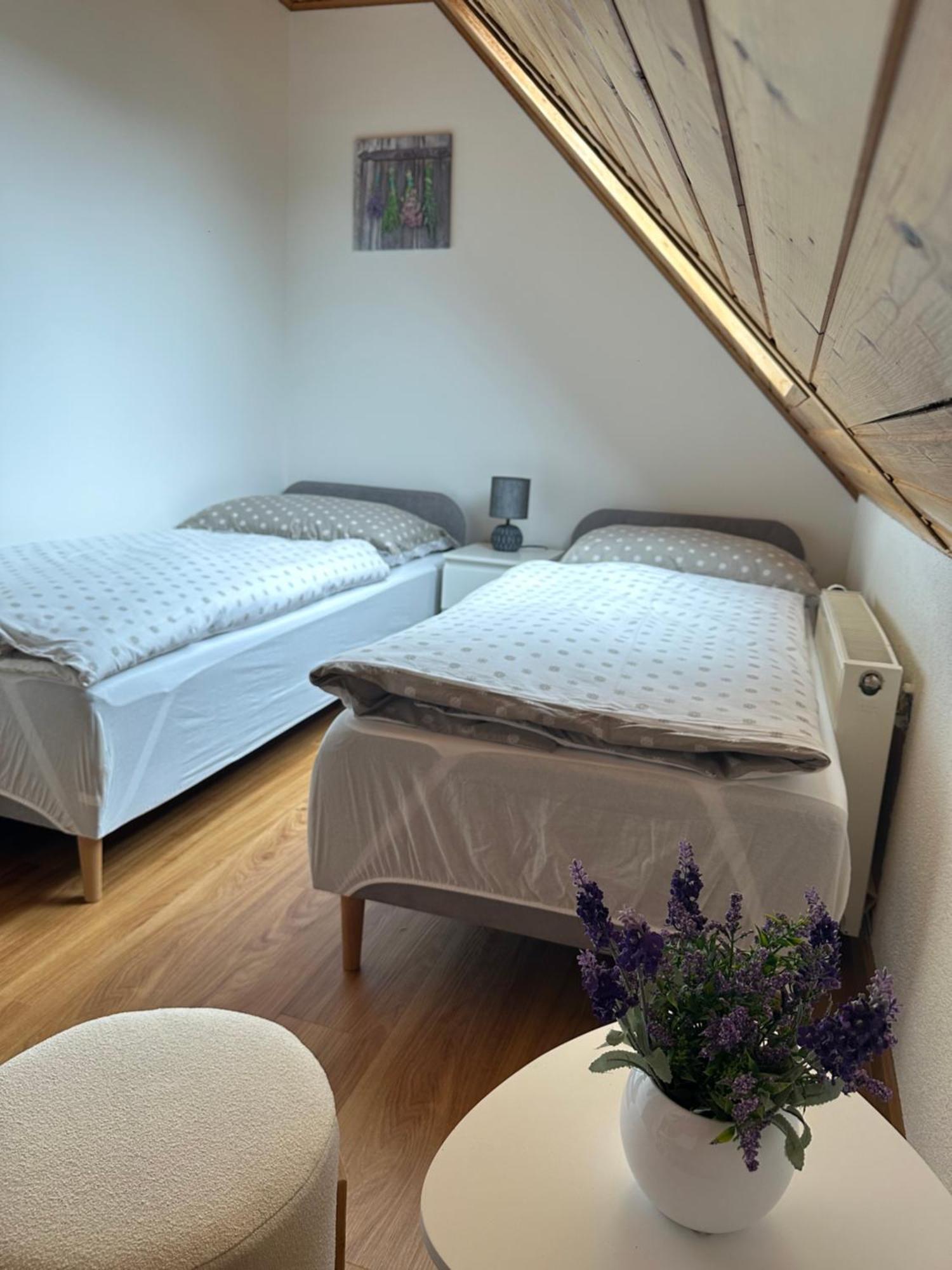 Apartman Jako U Babicky Tisa Exterior photo